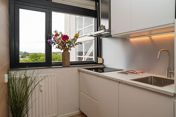 Verkoopstyling Maltipo