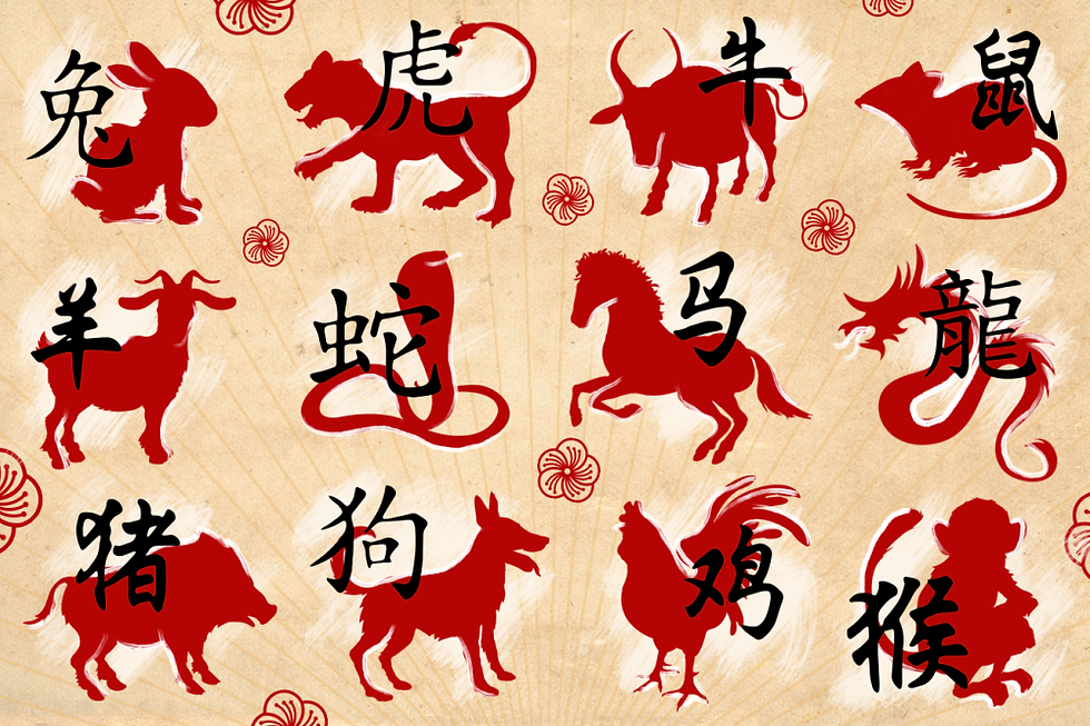 Astrologia Chinesa - BaZi