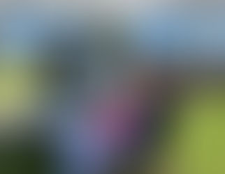 Top 5 events this World Ocean Week!