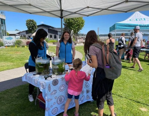 Top 5 events this World Ocean Week!