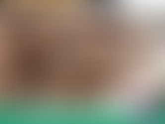 Chocolate Chip Cheesecake Bars