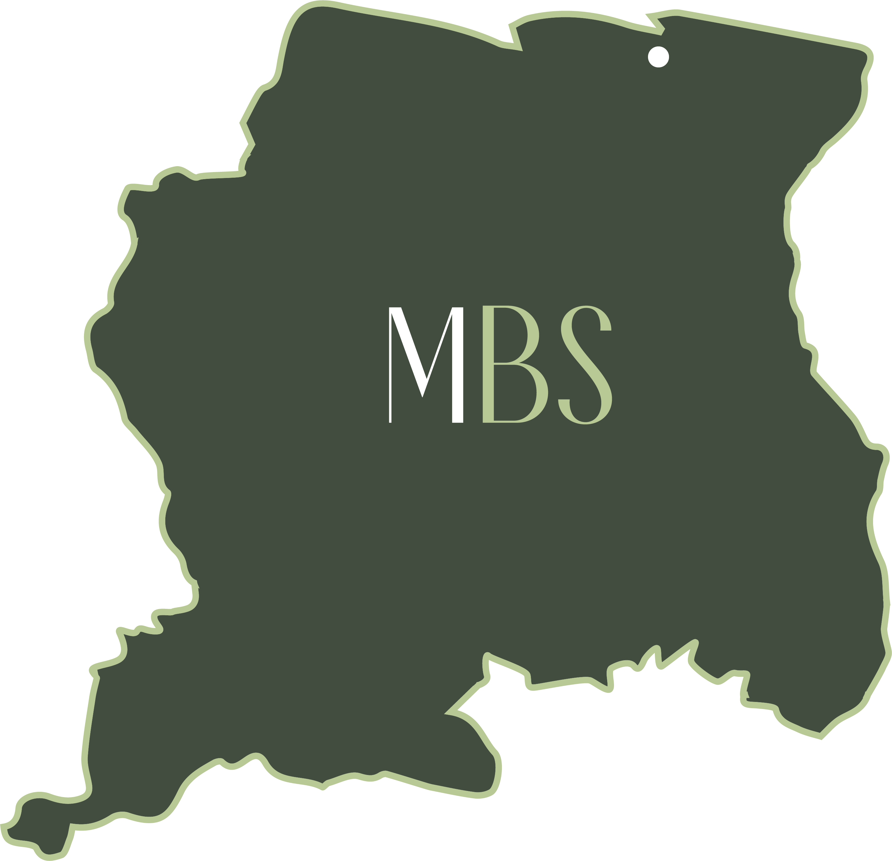 MBS.png