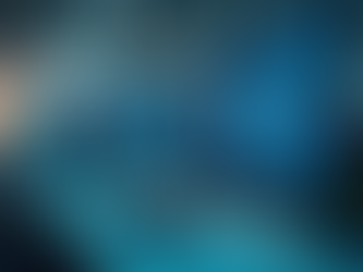 Understanding the Impact of Momentum Z Insights