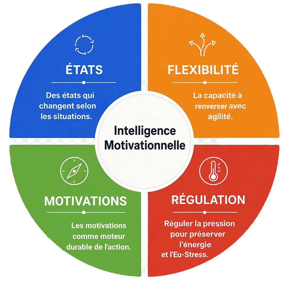 Schéma de l'Intelligence Motivationnelle présentant quatre dimensions : États, Flexibilité, Motivations et Régulation.