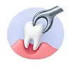 Oral Surgery.webp
