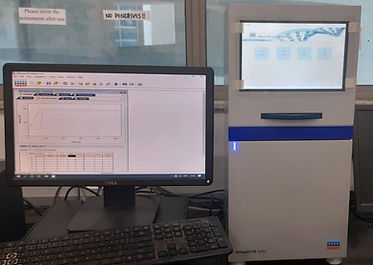 RT-PCR.jpeg
