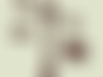 Justiça Militar, a verdadeira "jabuticaba"