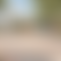 Costa Rica Tourism Arrivals: Growth Slows as Airport and Market Trends Diverge TN-17