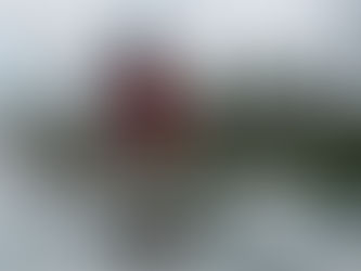 Book Your Wake Session By The Coconut Lake