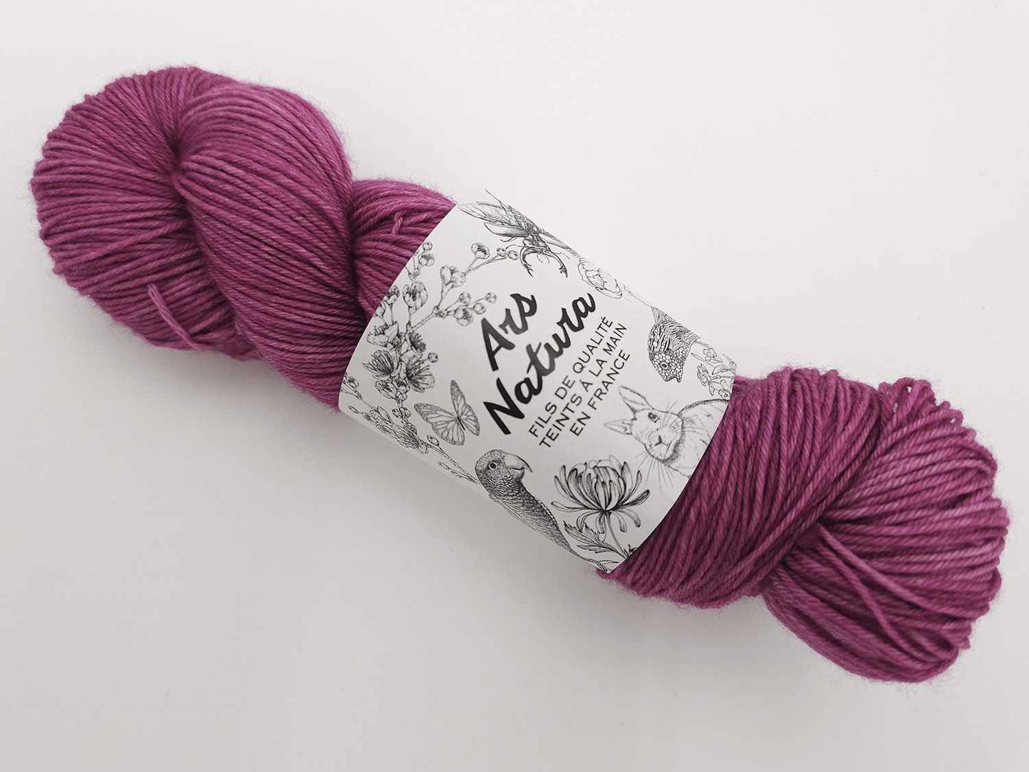 Cercis