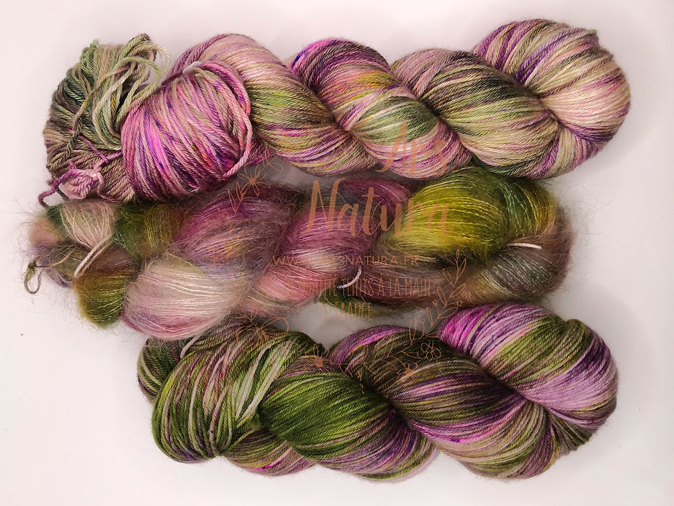 Miniature : Racine d'Iris