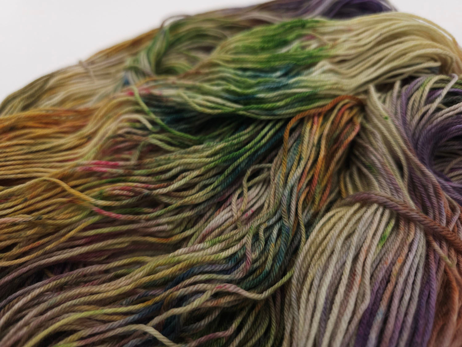 Succulentes - PRÉCOMMANDE