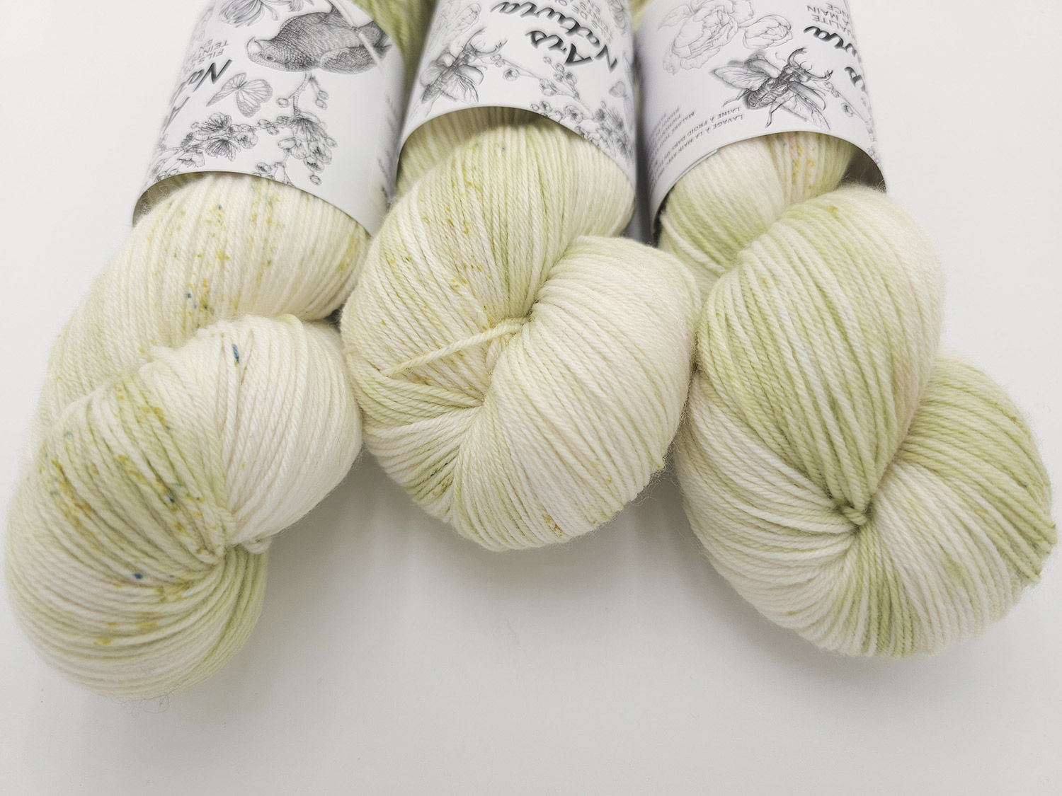 Collection Spring Latte - Matcha