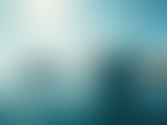 Catalina Yacht Experiences: Experience the Magic