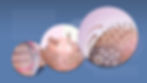 Methods of hair transplantation FUT and FUE fue with transplant as infographic element of