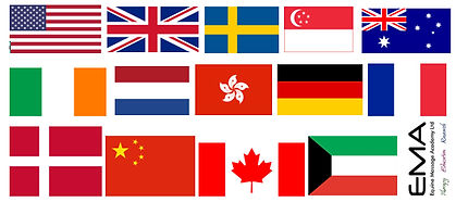 FLAGS BLOK AND LOGO.jpg