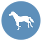 TRAV HORSE AVATAR.png