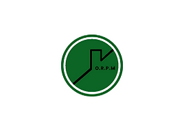 logo 1.png