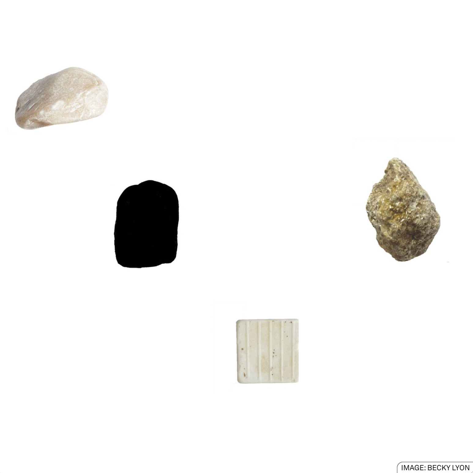 A Stone Safari with artist Becky Lyon
