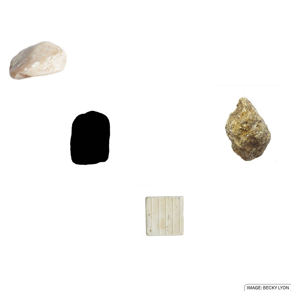 A Stone Safari with artist Becky Lyon