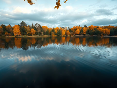 Understanding Emotions: Why They Happen and How to Navigate Them