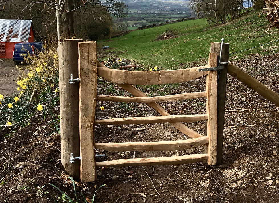 Cleft oak gate