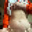 Thumbnail: Collection 0015