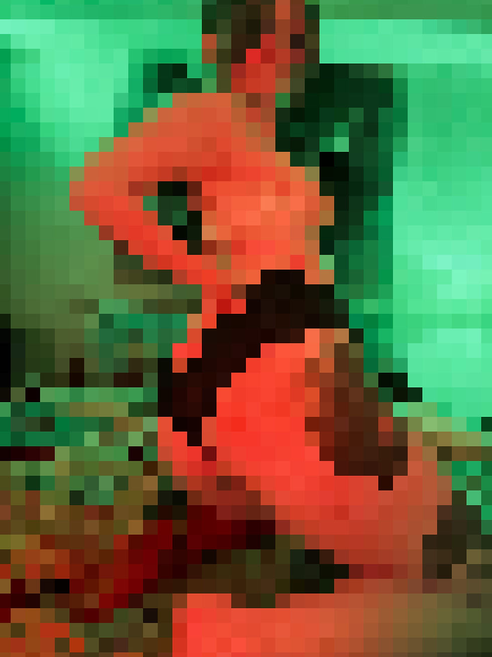 Thumbnail: Collection 0185