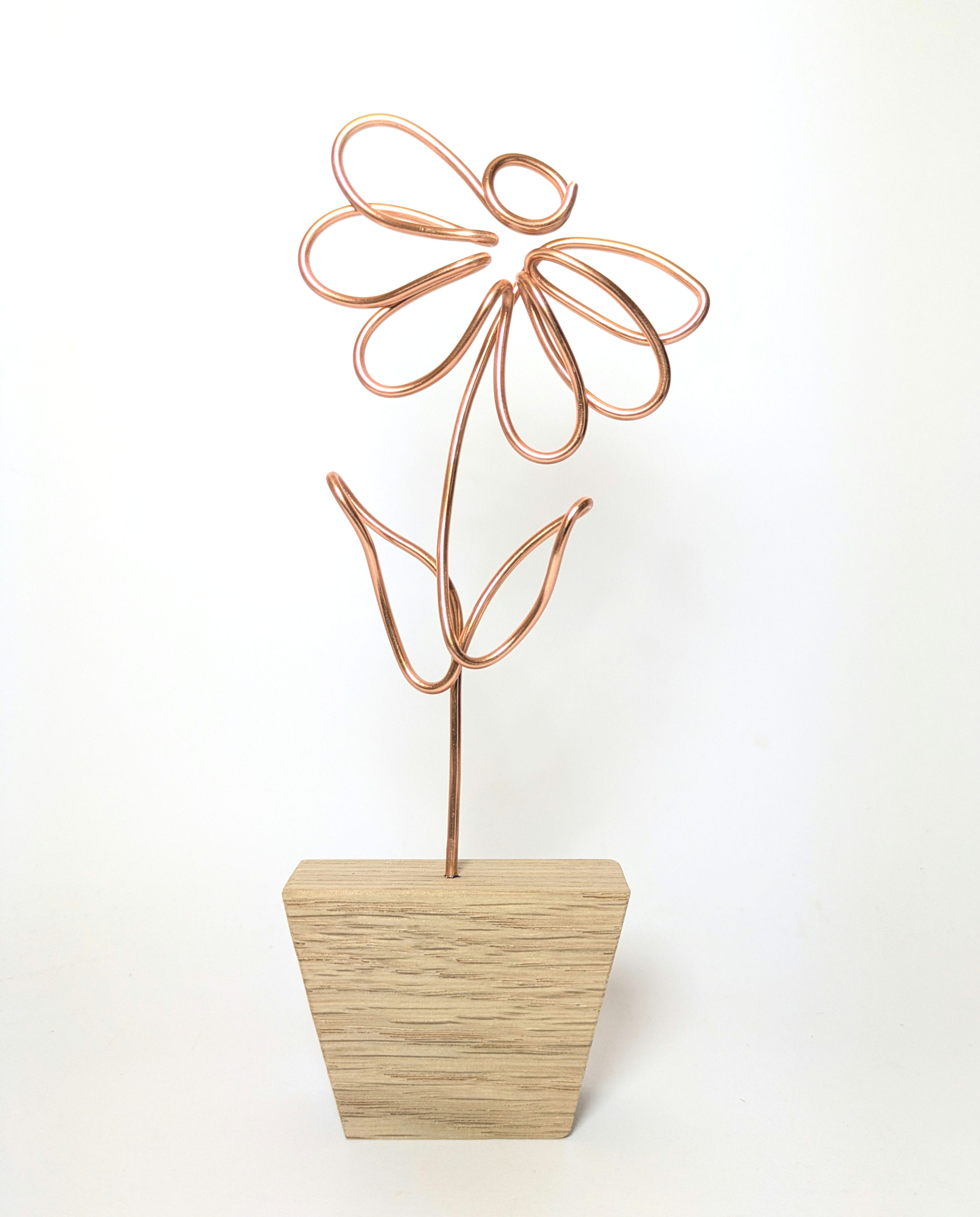 Daisy in Oak