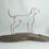 Thumbnail: Vizsla on Driftwood