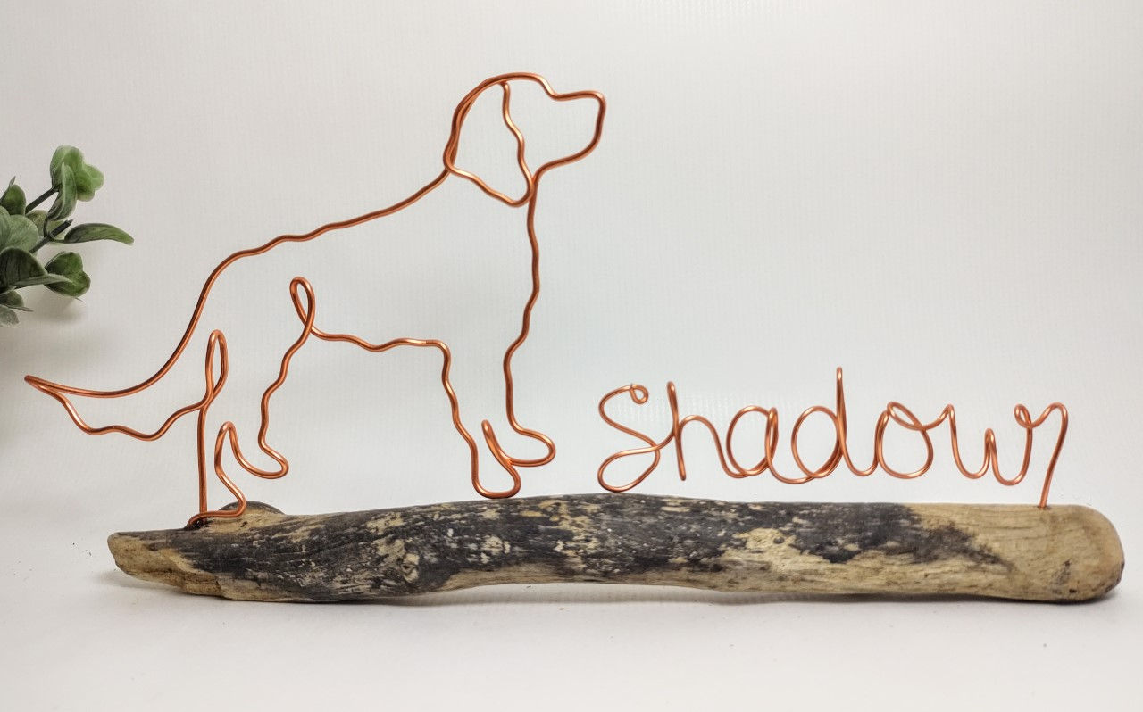 Large Munsterlander on Driftwood