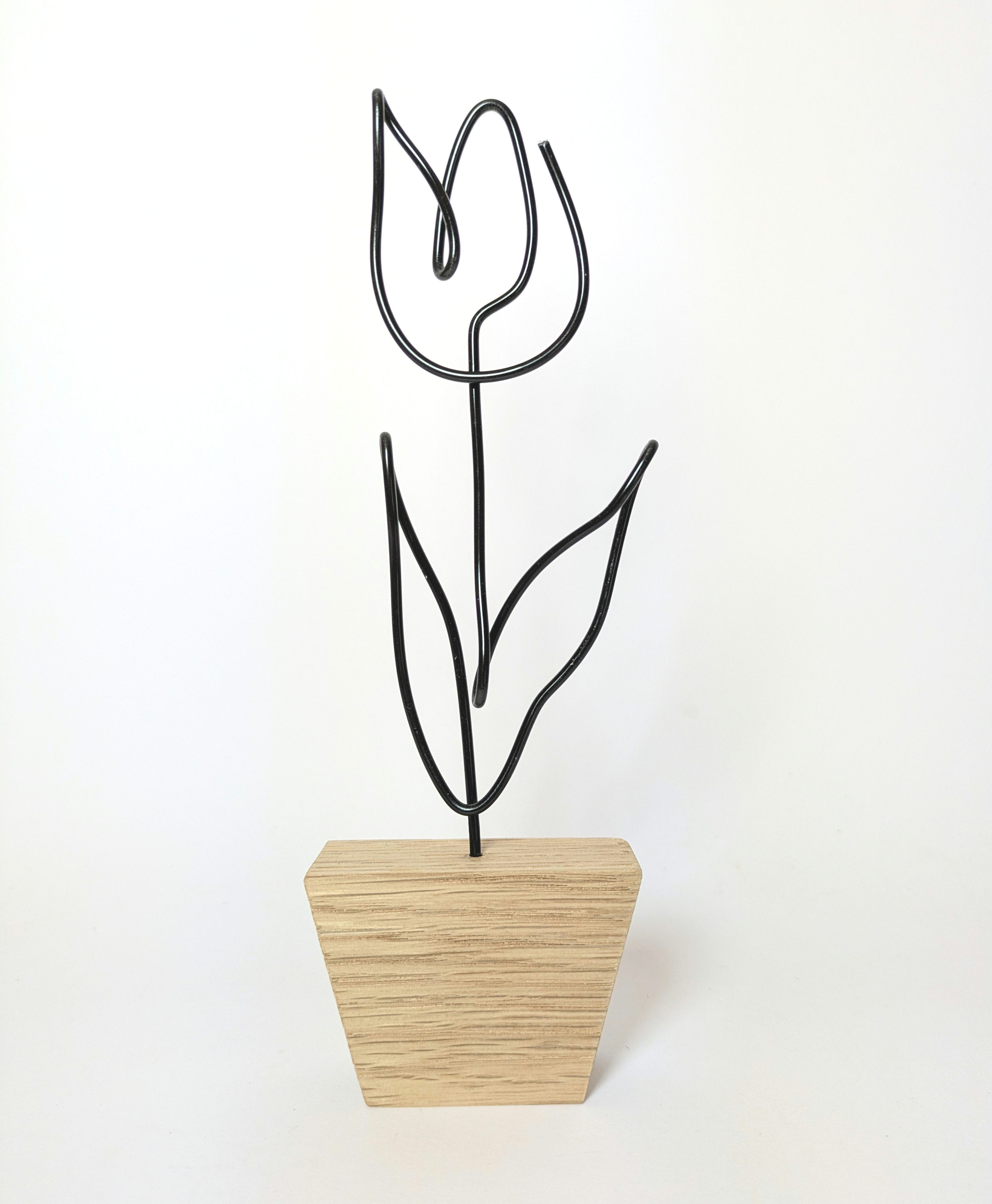 Tulip in Oak