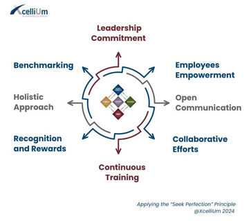 Applying the "Seek Perfection" Principle