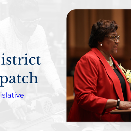 (May 2025 Edition) The District Dispatch