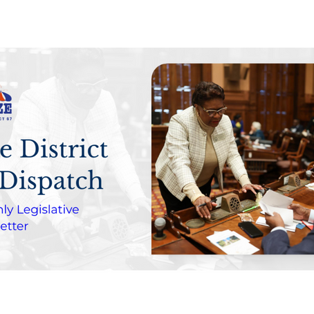 (Feb. 2025 Edition) The District 67 Dispatch 