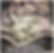roses journey.png 2014-11-19-18:51:49