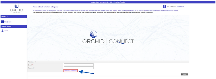 Untitled design (94).png