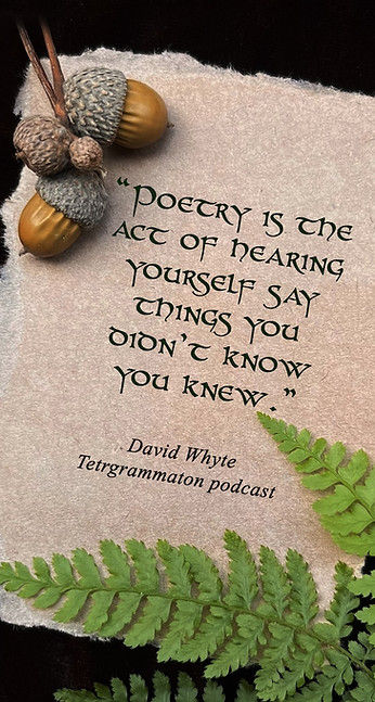 mini Poetry is the act David whyte.jpg