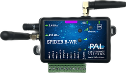 Spider-B-WR.png