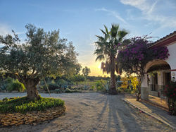 Entrada casa