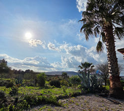 Vistas desde la casa