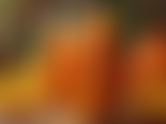 Descubre la Salsa Habanero Mango de Salcitra