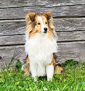 527311047_18515832376038234_438842655954