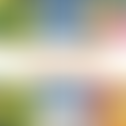 Eat Your Way to a Better Mood: The Power of Plants and Antioxidants and The Food-Mood Connection.