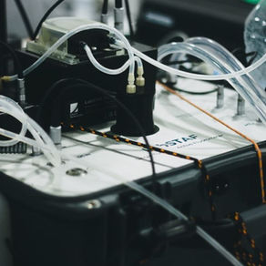 Tales of a Photon: From the Sun to Your next Breath