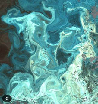 PML researcher Peter Miller’s post on LinkedIn: “When a bright coccolithophore bloom meets mesoscale eddies in the Greenland Sea (05-07 Jun. 2026). Each eddy is 60-100km and the bloom is about 500km across, similar to the distance from London to Edinburgh”.