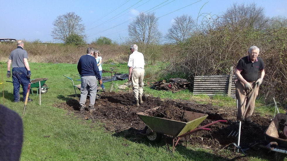 Preparing site for shed