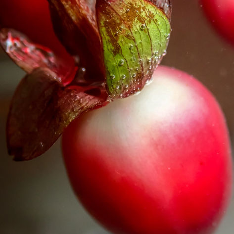 Baptism by Katie Hughbanks