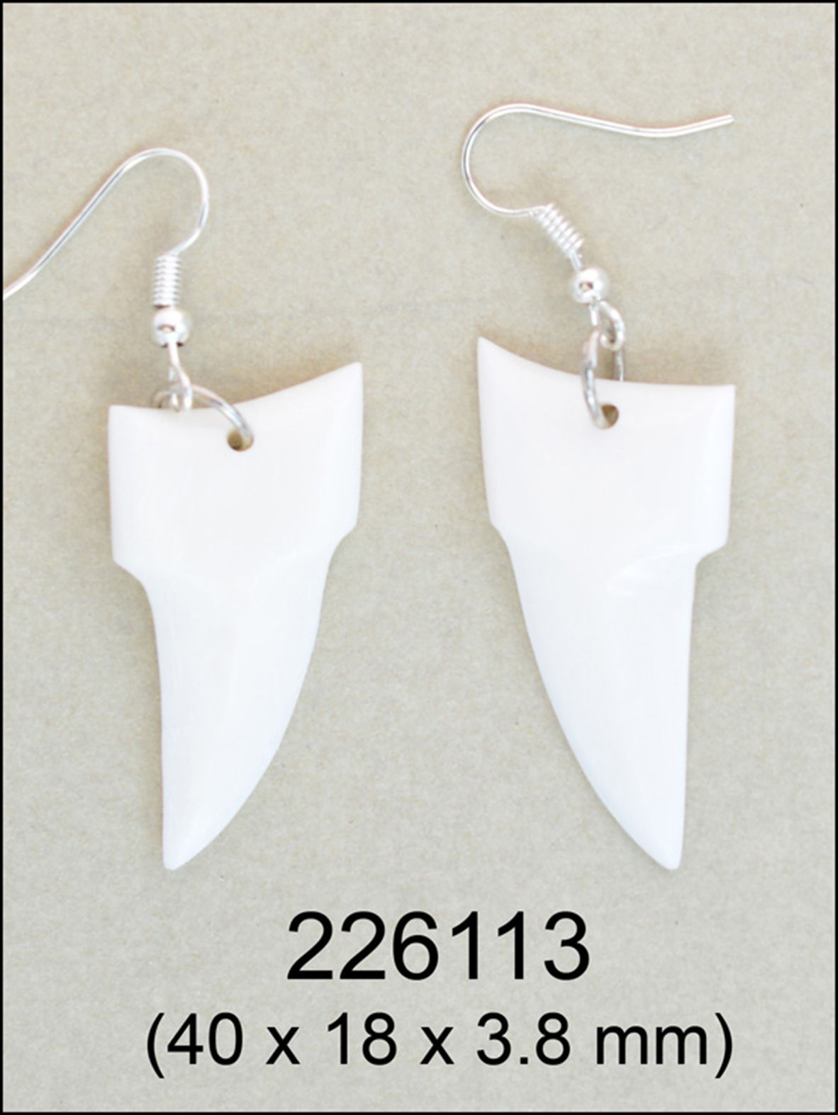 Bone Carvings Earrings