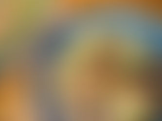 Tofu with Minced Pork: A Homely Delight (肉末豆腐)